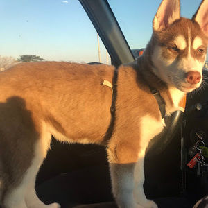 Meet your Posher, Erika